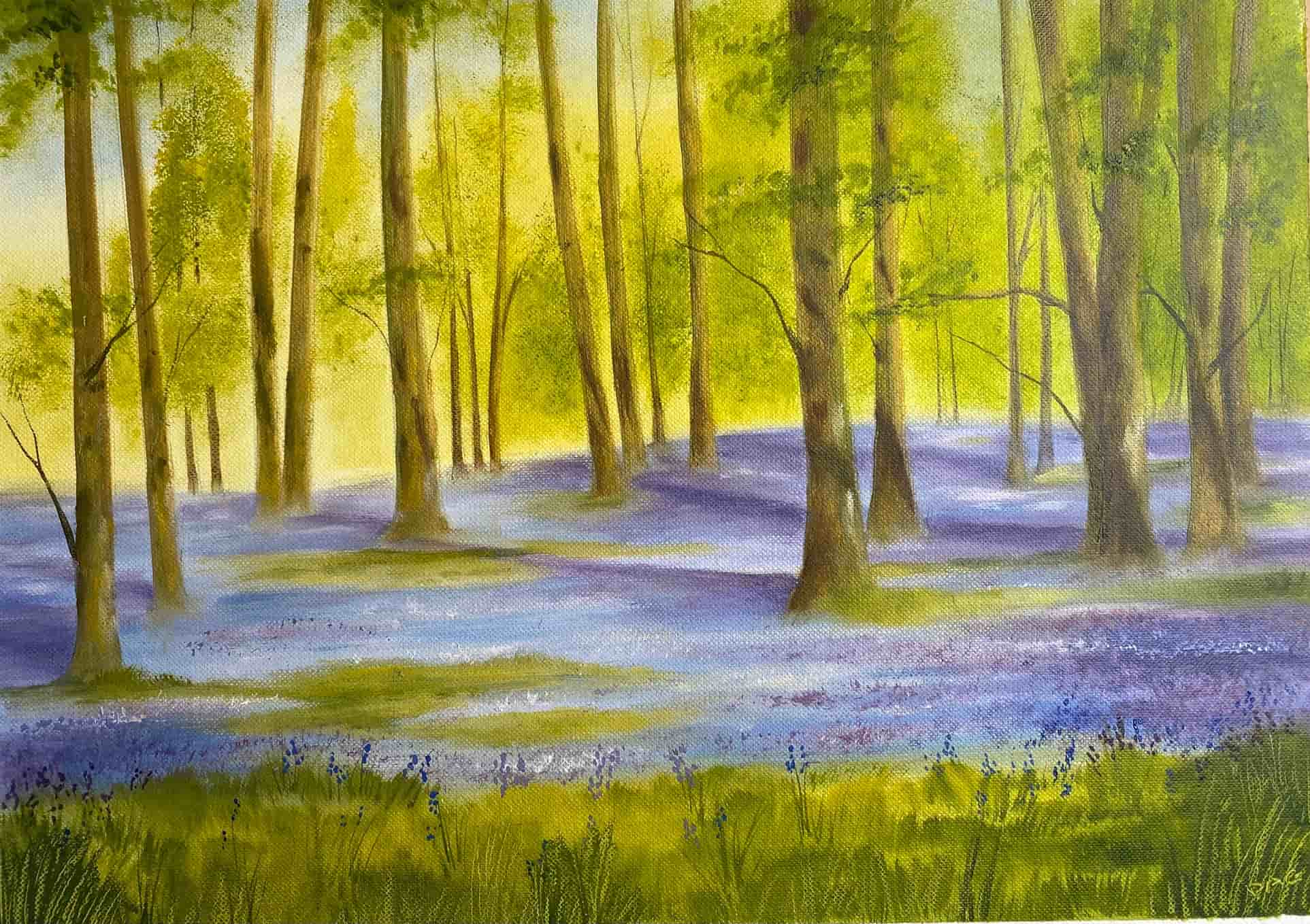 Bluebell wood in oil