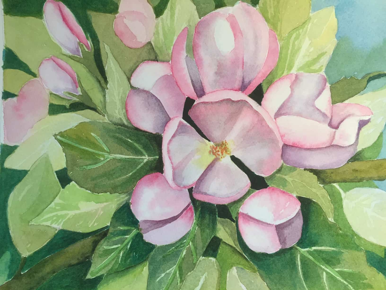 Pink flowers in watercolour