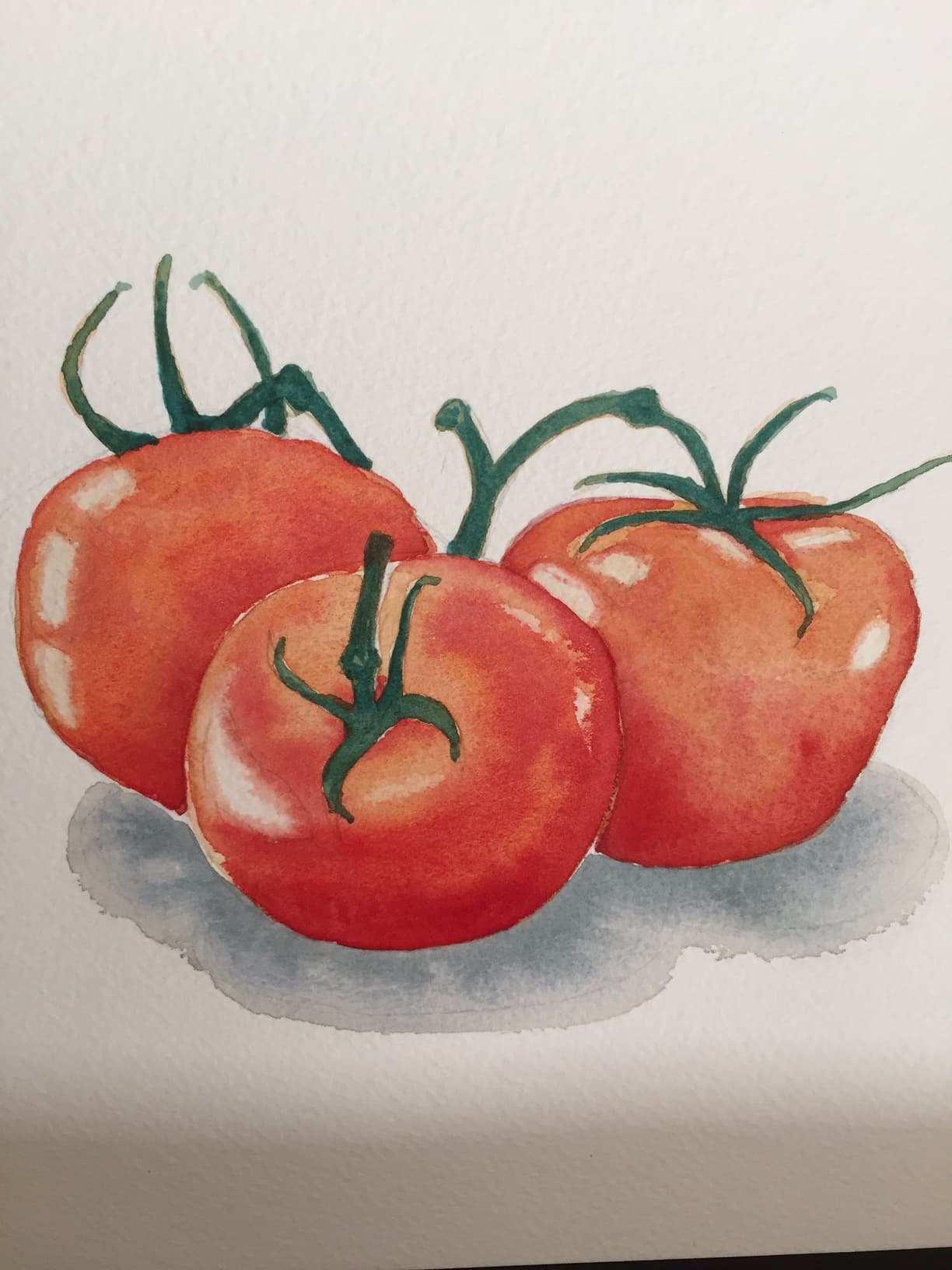 Tomatoes in watercolour