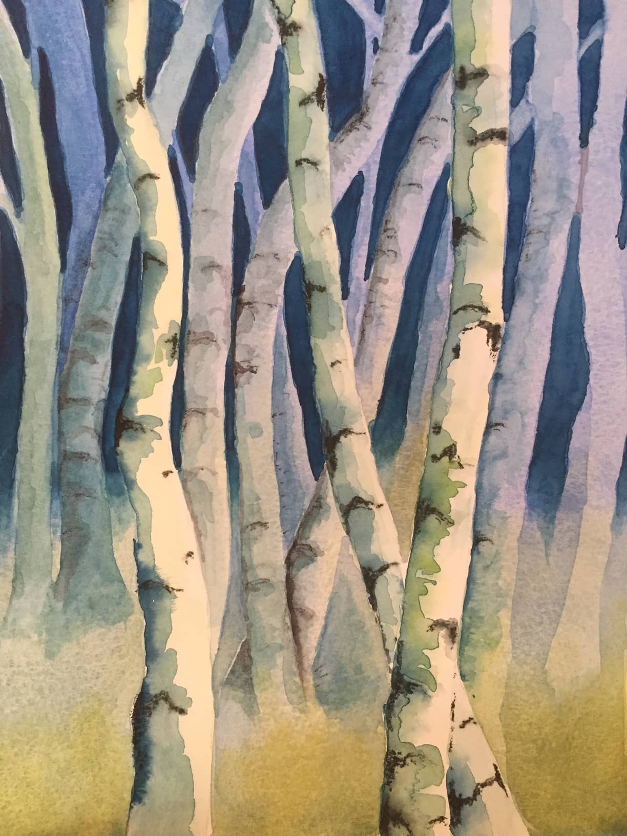 Birch wood in watercolour