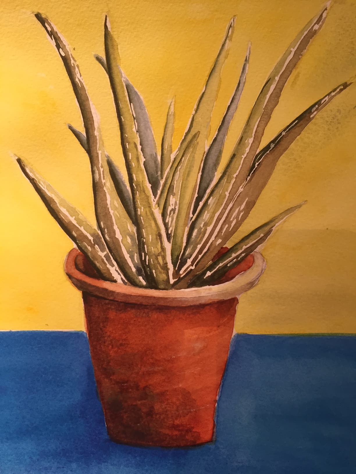 Cactus in watercolour